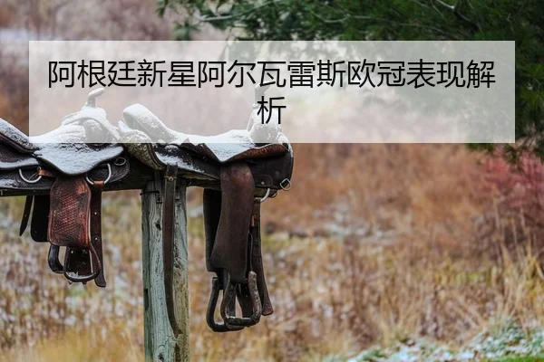 阿根廷新星阿尔瓦雷斯欧冠表现解析