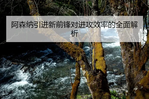 阿森纳引进新前锋对进攻效率的全面解析